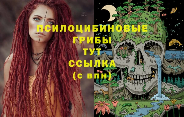 крисы Алзамай