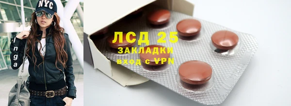крисы Алзамай