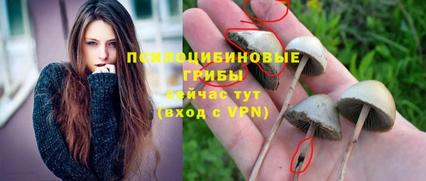 хмурый Алексеевка