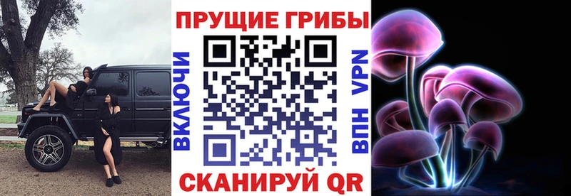 Псилоцибиновые грибы мицелий  Артёмовский 